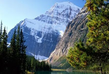 乌拉圭2022世界杯阵容，老炮压阵+新星崛起，能否续写荣光？